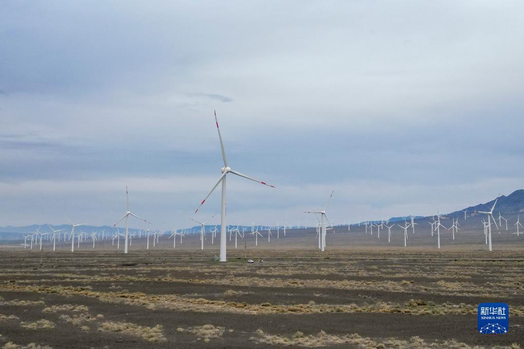 免费斗牛游戏下载